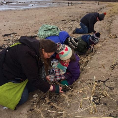 Alison Buckle and friends search for nurdles