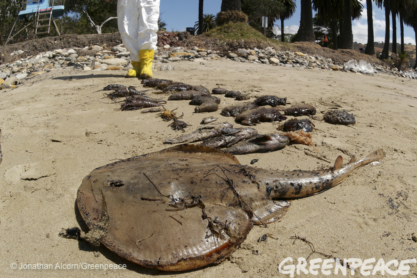 California Oil Spill