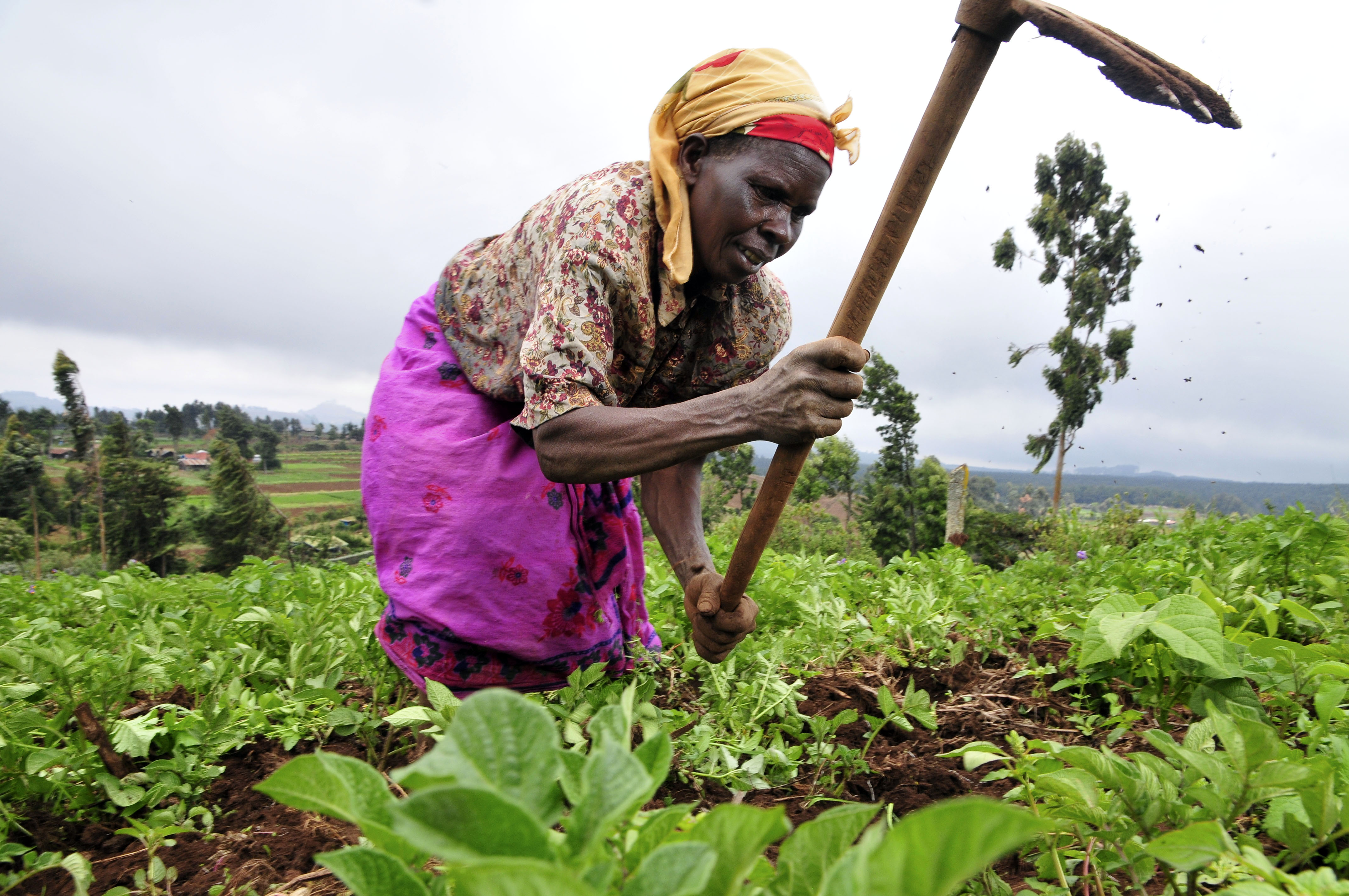 Gender and food security are key climate issues in Africa