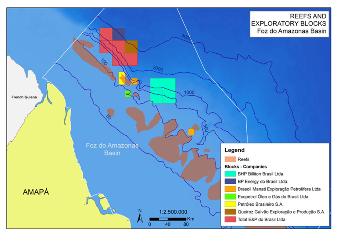 Amazon reef graphic