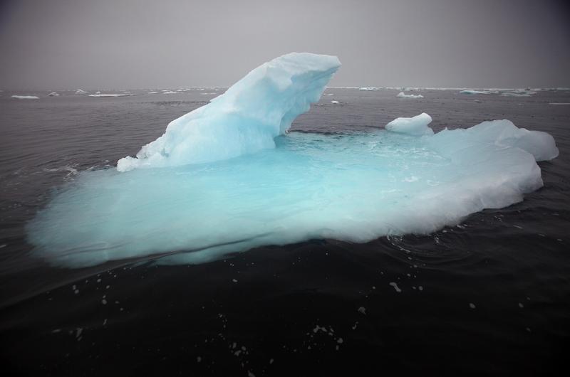 Sea Ice in the Chukchi Sea