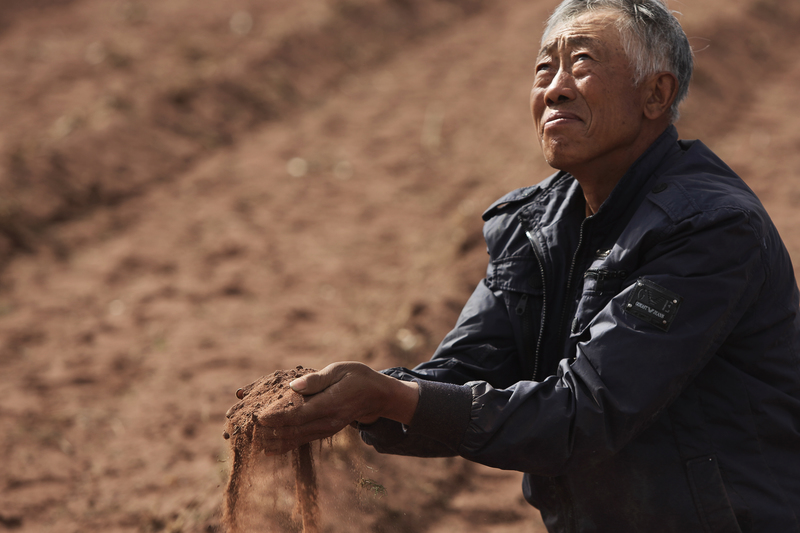 Dried Out Farmland in Inner Mongolia