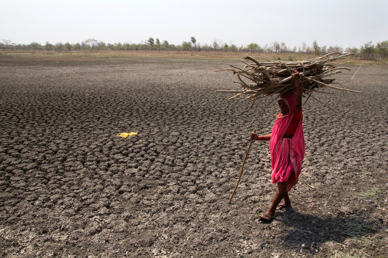 Drought in Maharashtra