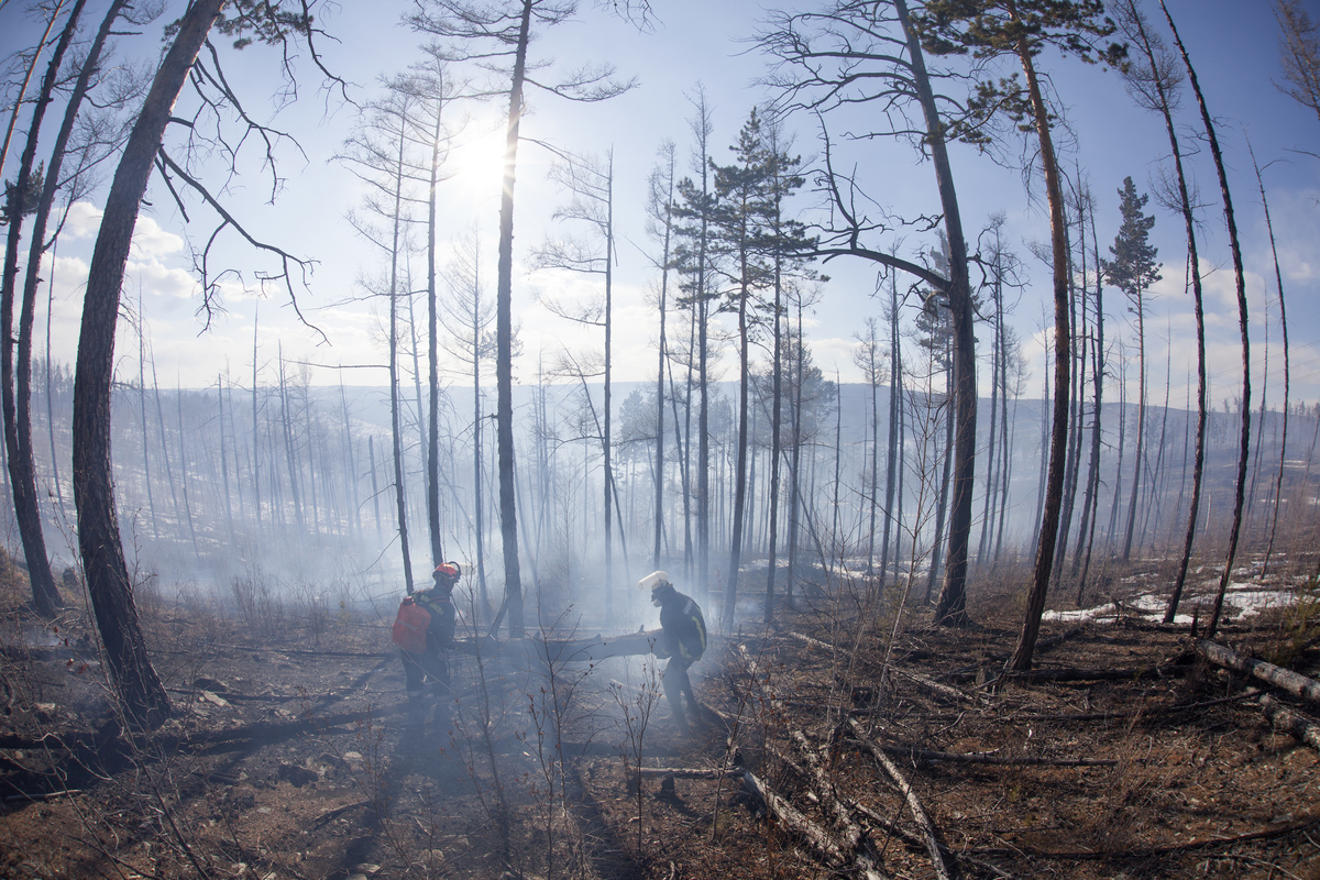 Fire Fighting in Baikal Region in Russia