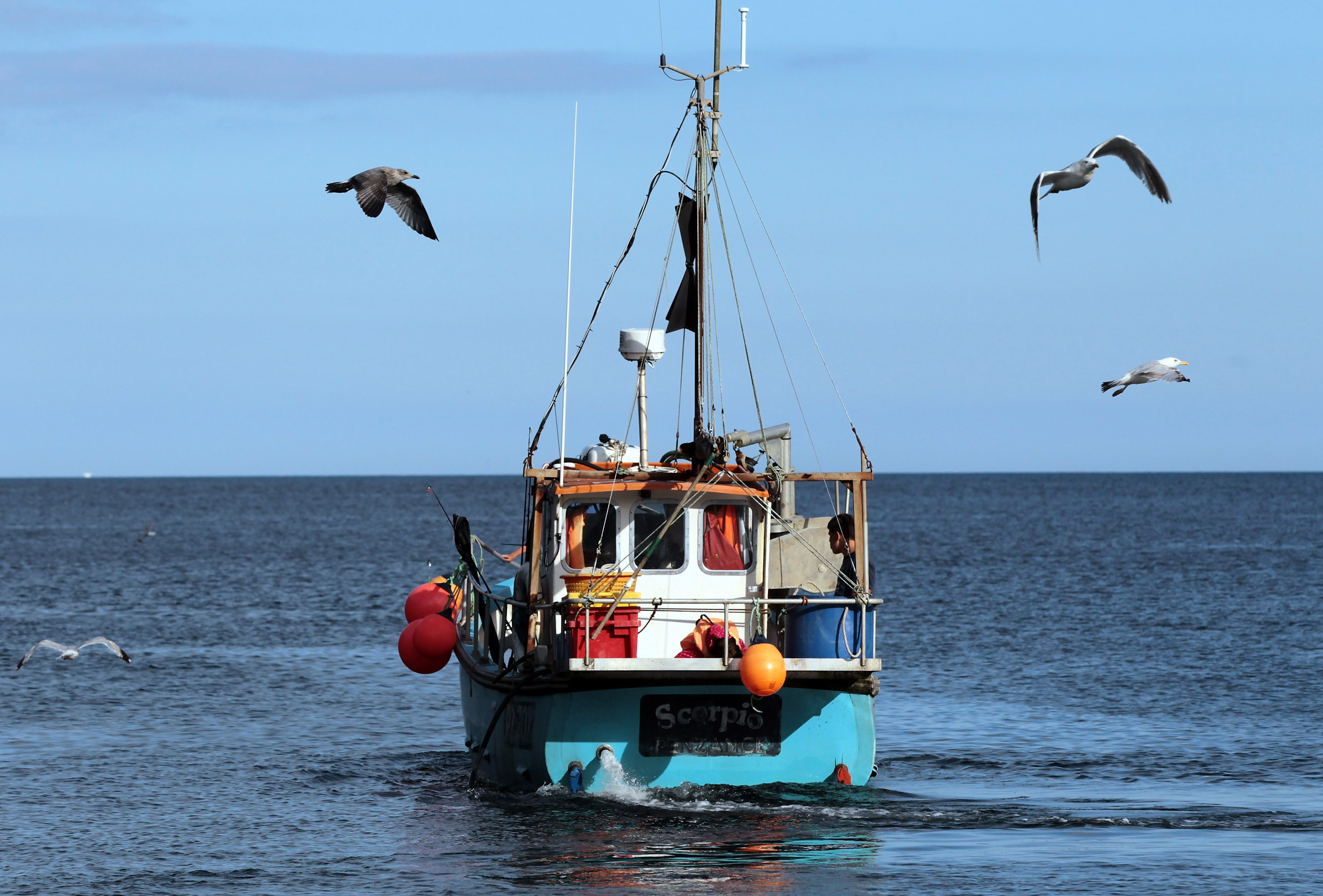 Big Fish quota barons squeeze scale fishermen -