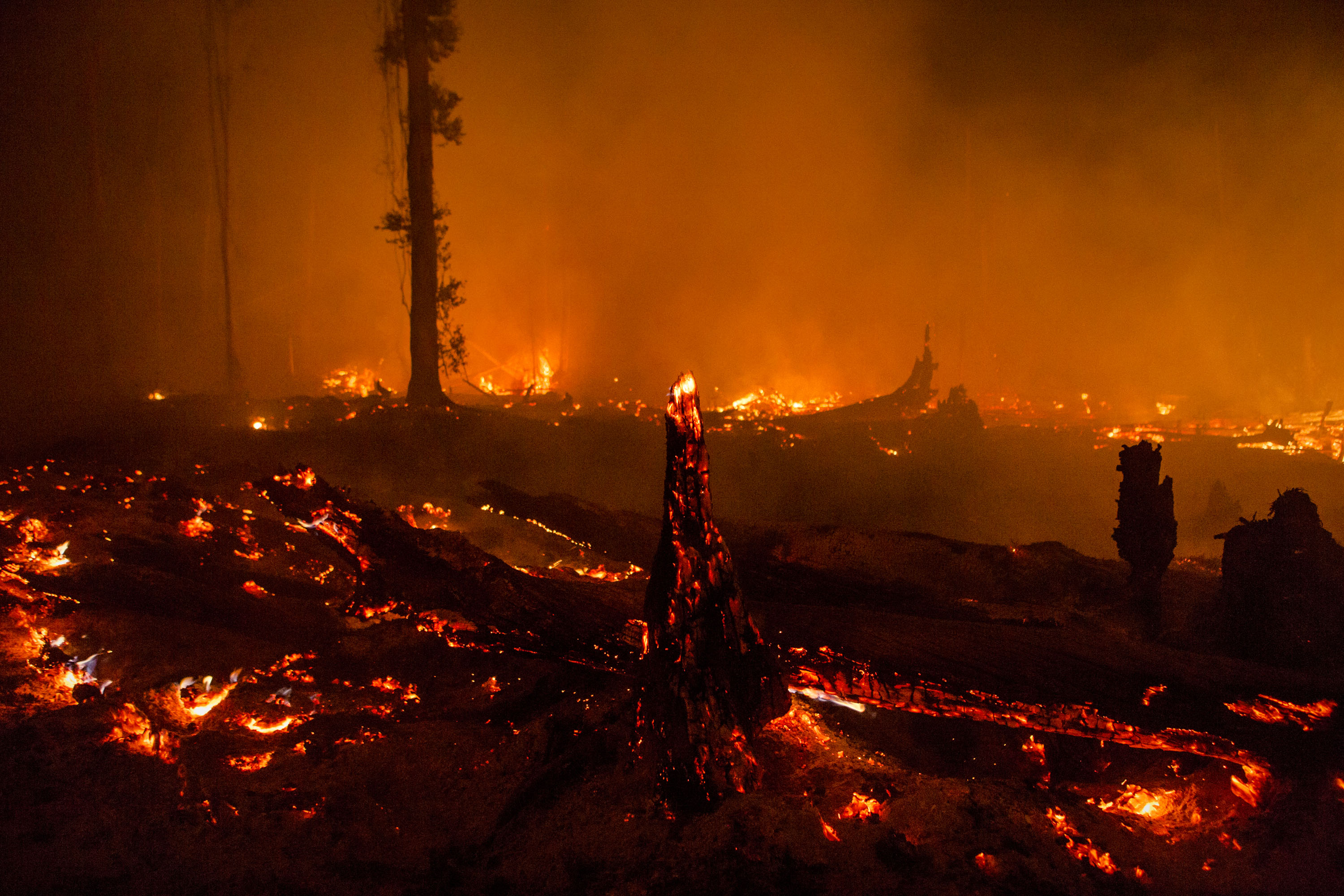 Indonesia Burning