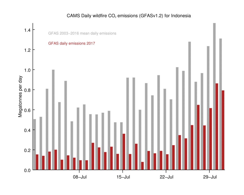 Indo forest July graph 1