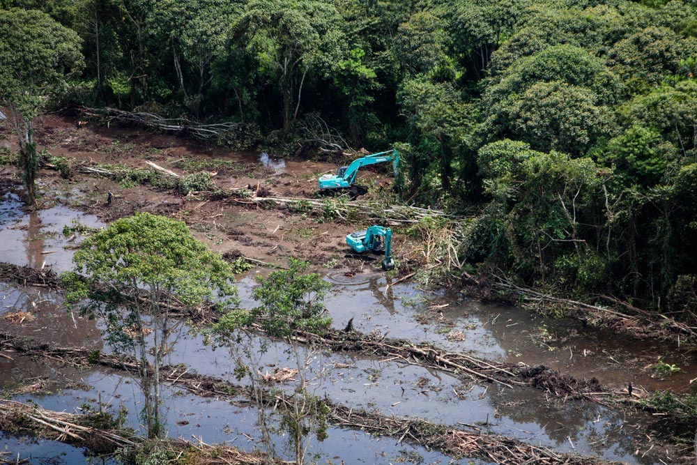 Excavators clear forests and build drainage canals on the PT ASMR concession, November 2013