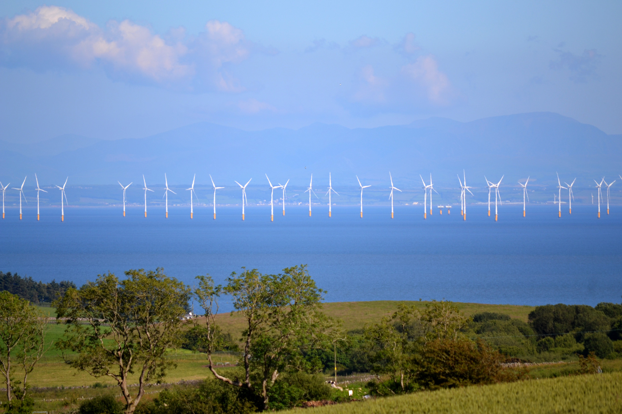 Giant fans of wind energy