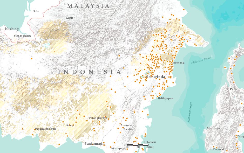 orangutan map