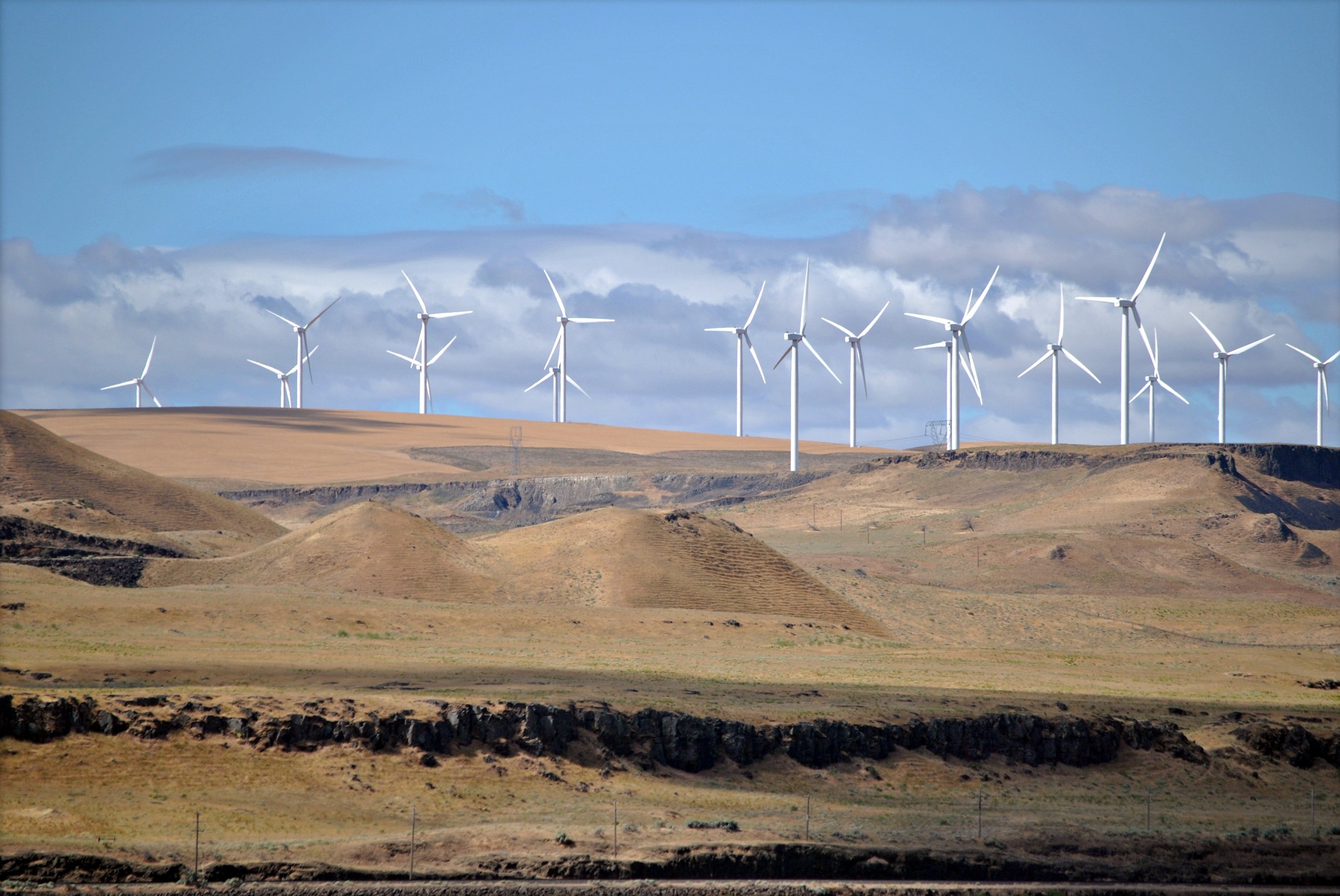 A wind farm in Oregon (Creative Commons)