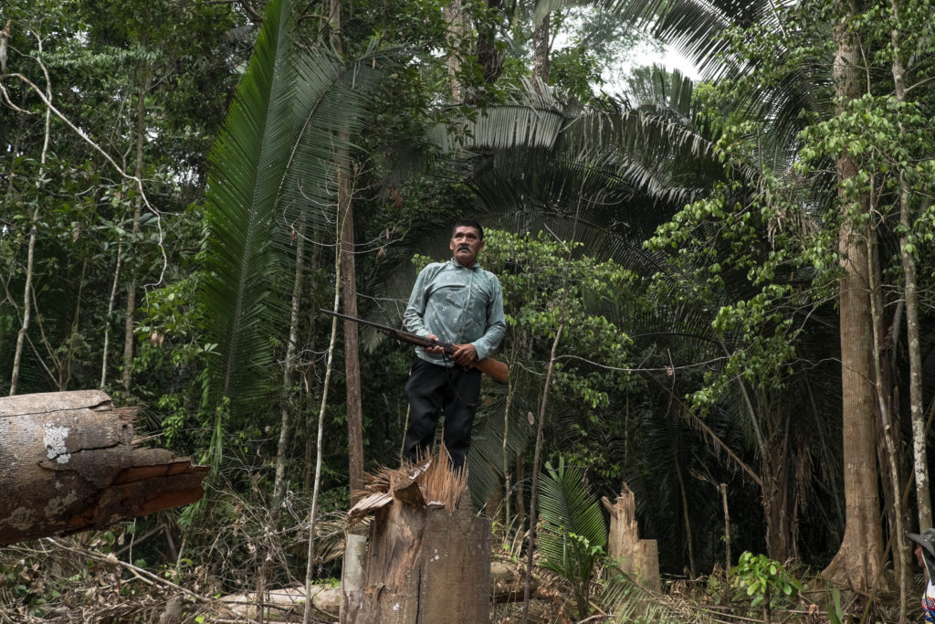 Project Rondônia: On the Ground in Brazil's  Rain Forest - Science  Talk Archive
