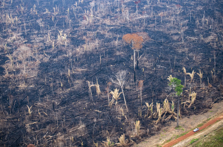 Wildfires are ripping through Amazon rainforest in Brazil - Unearthed