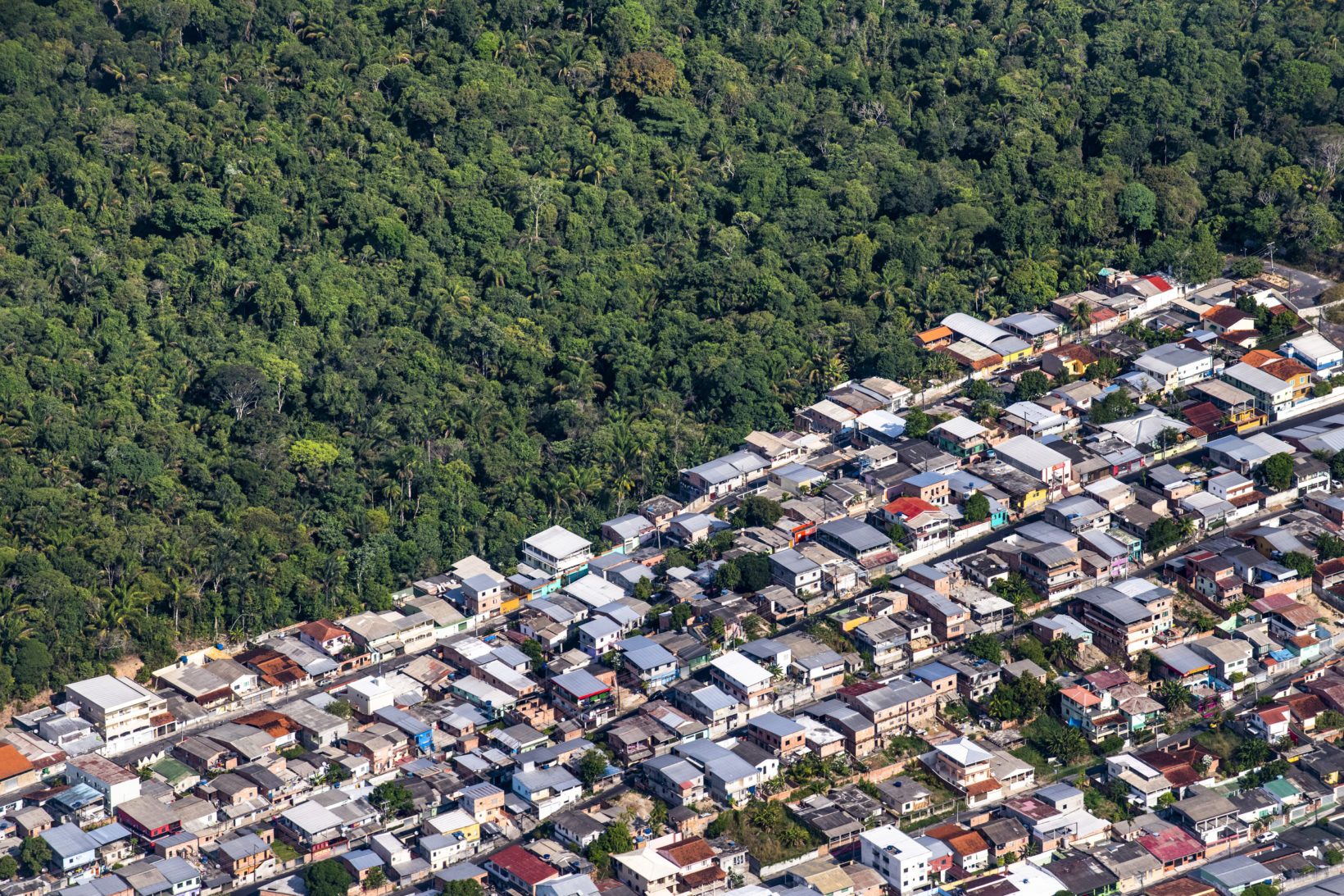 Breaking down the Amazon how deforestation could drive a pandemic