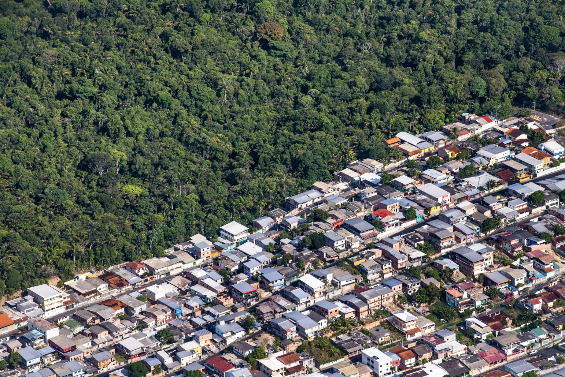 Breaking down the Amazon how deforestation could drive a pandemic