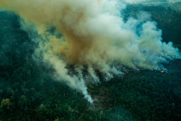 UBS and Santander's 'green' bonds linked to deforesters and rancher accused  of slave labour in Brazil - Unearthed