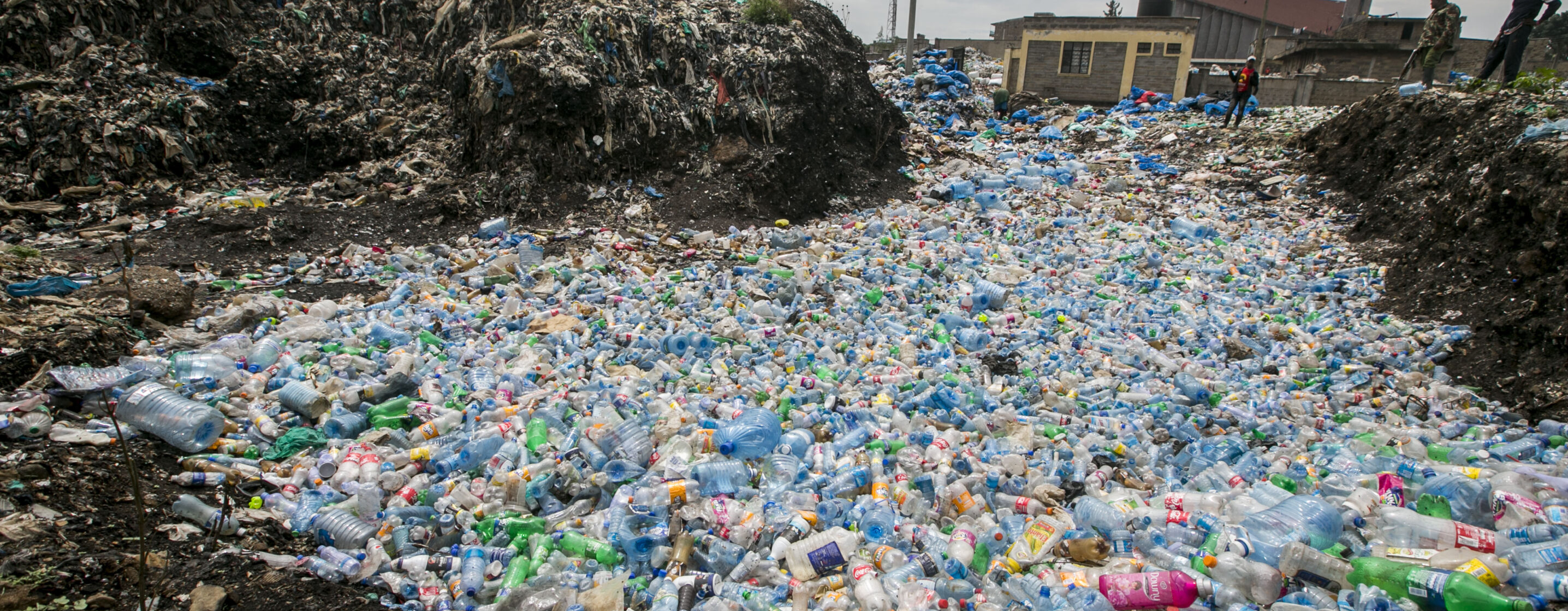 Oilbacked trade group is lobbying the Trump administration to push