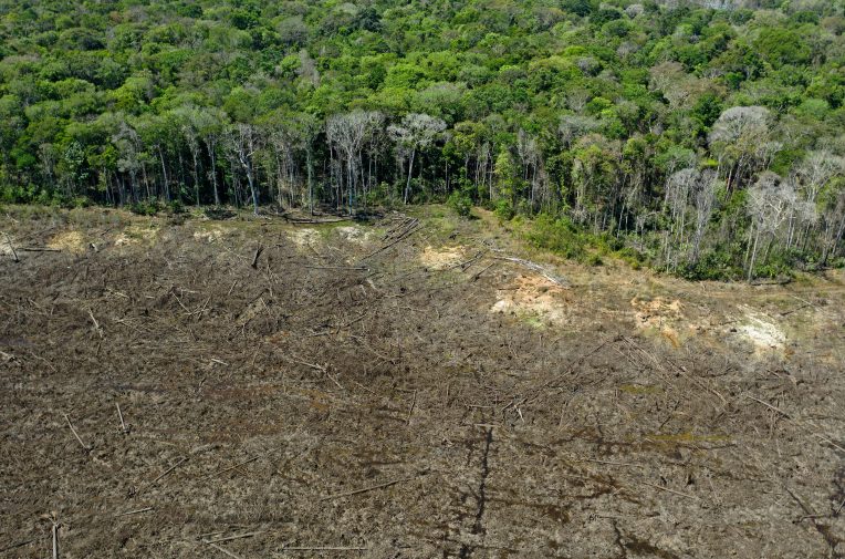 Global food giants sourced soya linked to illegal  deforestation -  Unearthed