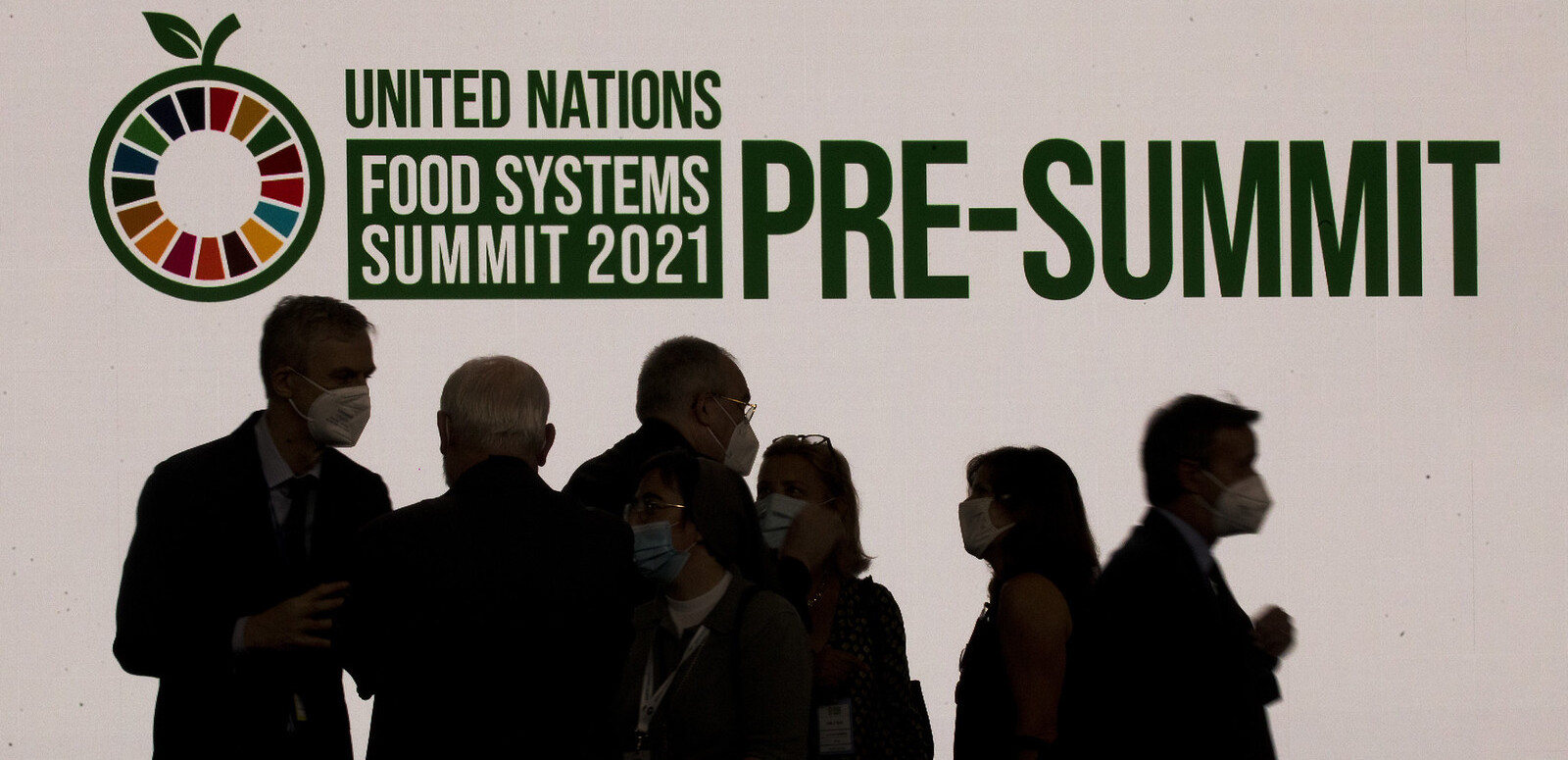 Meat industry pushes factory farming at UN food systems summit Unearthed