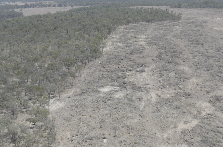 Update: Animal agriculture drives 79% of deforestation in Australia.