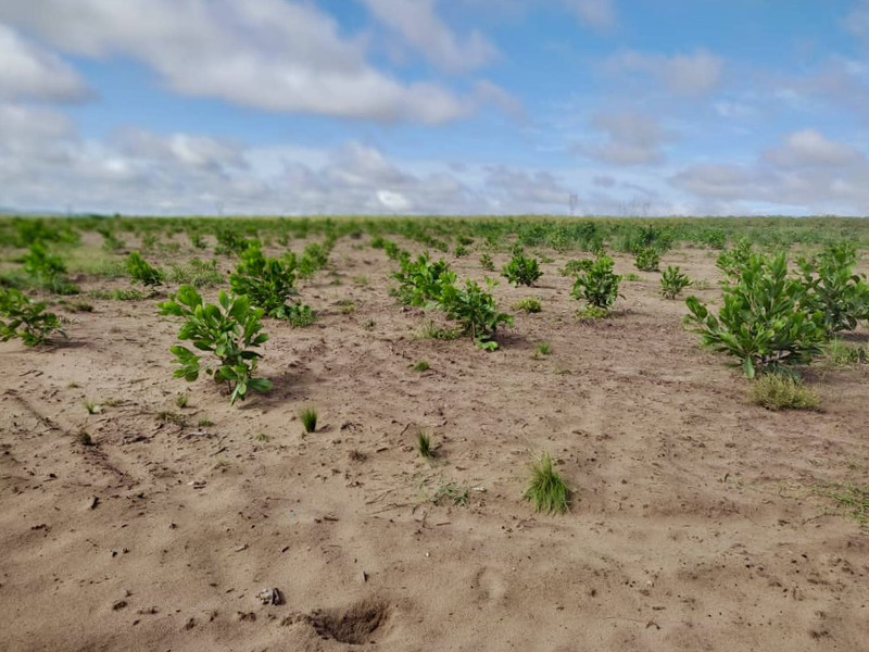 'How are we going to live?' Families dispossessed of their land to make